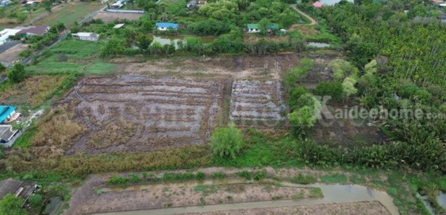 ที่ดินแปลงสี่เหลี่ยมสวย ทำเล EEC ใจกลางเมืองฉะเชิงเทรา