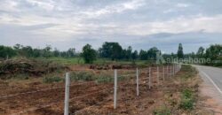ที่ดินสวยราคาดี โนนสัง หนองบัวลำภู พื้นที่ 43-2-18 ไร่