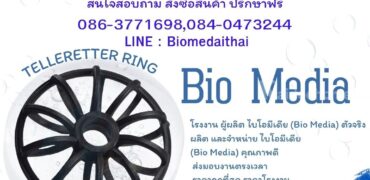 0863771698 Big Bio Media ตัวกลางสื่อชีวภาพ ระบบบำบัดน้ำเสีย ราคาถูก