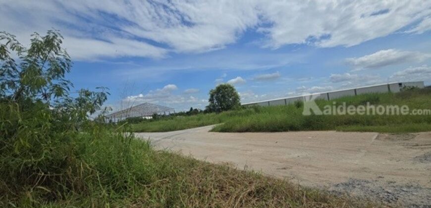 ขายที่ดิน บ้านบึง ชลบุรี ทำเลดี เหมาะลงทุน เนื้อที่ 5 ไร่ 1 งาน 46 ตร.ว. ล้อมรั้วแล้ว โทร 098-4282935
