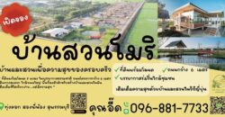 ที่ดินแบ่งขาย ที่ อ.สองพี่น้อง จ.สุพรรณบุรี สวยงาม พร้อมสร้างบ้าน เจ้าของขายเอง โทร 096-8817733