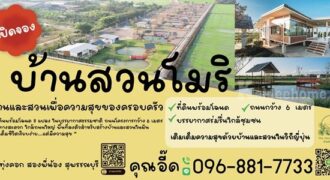 ที่ดินแบ่งขาย ที่ อ.สองพี่น้อง จ.สุพรรณบุรี สวยงาม พร้อมสร้างบ้าน เจ้าของขายเอง โทร 096-8817733