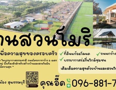 ที่ดินแบ่งขาย ที่ อ.สองพี่น้อง จ.สุพรรณบุรี สวยงาม พร้อมสร้างบ้าน เจ้าของขายเอง โทร 096-8817733