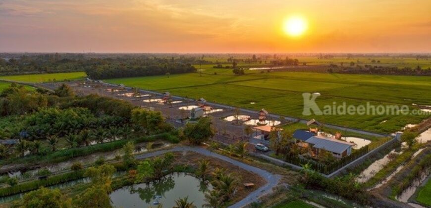 ที่ดินแบ่งขาย ที่ อ.สองพี่น้อง จ.สุพรรณบุรี สวยงาม พร้อมสร้างบ้าน เจ้าของขายเอง โทร 096-8817733