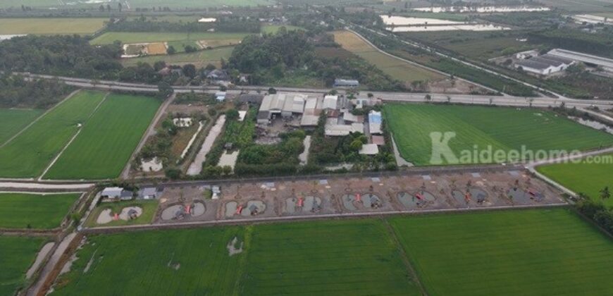 ที่ดินแบ่งขาย ที่ อ.สองพี่น้อง จ.สุพรรณบุรี สวยงาม พร้อมสร้างบ้าน เจ้าของขายเอง โทร 096-8817733