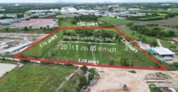ขาย ที่ดิน บ้านบึง หนอง บอน แดง ชลบุรี(พร้อมสิ่งปลูกสร้าง)