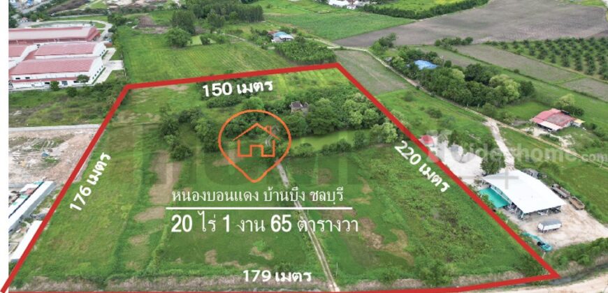 ขาย ที่ดิน บ้านบึง หนอง บอน แดง ชลบุรี(พร้อมสิ่งปลูกสร้าง)