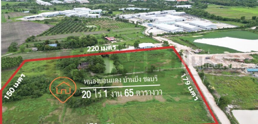 ขาย ที่ดิน บ้านบึง หนอง บอน แดง ชลบุรี(พร้อมสิ่งปลูกสร้าง)