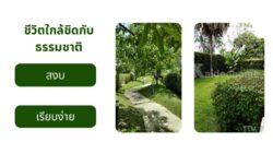 บ้านที่ดี อาจไม่ได้วัดกันแค่ขนาดพื้นที่ใช้สอย แต่รวมถึงความรู้สึกเมื่อได้กลับมาใช้ชีวิตในบ้านหลังนี้ทุกวัน