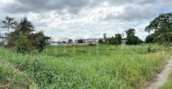 ขาย ที่ดิน บ้านบึง หนอง บอน แดง ชลบุรี(พร้อมสิ่งปลูกสร้าง)