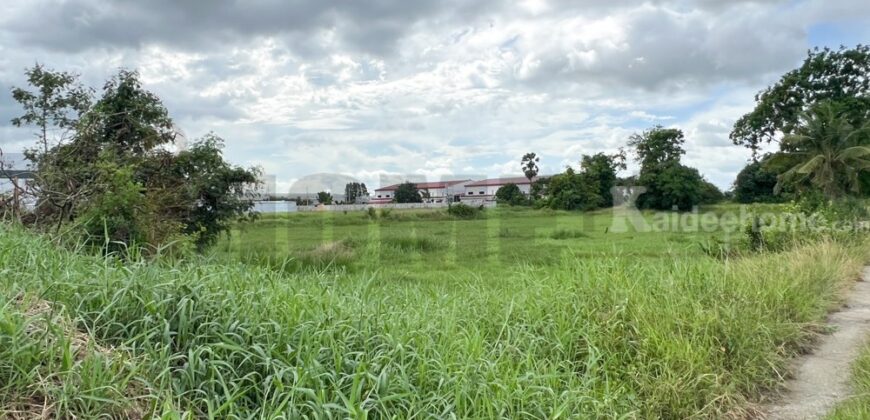 ขาย ที่ดิน บ้านบึง หนอง บอน แดง ชลบุรี(พร้อมสิ่งปลูกสร้าง)