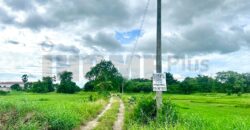 ขาย ที่ดิน บ้านบึง หนอง บอน แดง ชลบุรี(พร้อมสิ่งปลูกสร้าง)