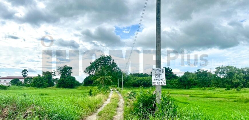 ขาย ที่ดิน บ้านบึง หนอง บอน แดง ชลบุรี(พร้อมสิ่งปลูกสร้าง)