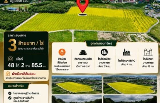 ขายที่ดินทำเลเศรษฐกิจสำคัญ มาบตาพุด ระยอง พื้นที่ 48-2-85.5 ไร่