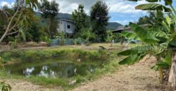 ขายสวนผสมพร้อมบ้าน ทำเลใกล้เขายายดา ตะพง จ.ระยอง