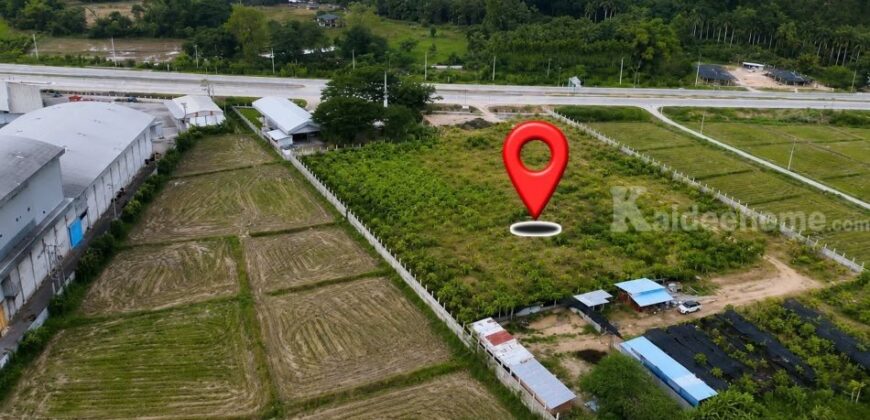 ขาย-ให้เช่าระยะยาว ที่ดินศักยภาพสูง ทำเลติดถนนสาย R3A เชียงราย–เชียงของ