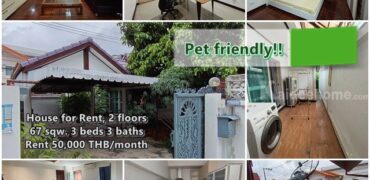 ให้เช่าบ้านเดี่ยว 2 ชั้น เลี้ยงสัตว์ได้ ม.ทิพย์นคร ลาดพร้าว 80 แยกก 22 ใกล้ MRT ลาดพร้าว