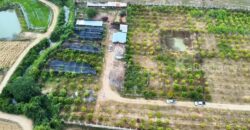 ขาย-ให้เช่าระยะยาว ที่ดินศักยภาพสูง ทำเลติดถนนสาย R3A เชียงราย–เชียงของ