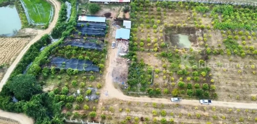 ขาย-ให้เช่าระยะยาว ที่ดินศักยภาพสูง ทำเลติดถนนสาย R3A เชียงราย–เชียงของ