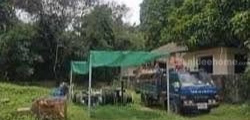 ที่ดินทำเลศักยภาพ ใกล้แม่น้ำกก พร้อมสร้างบ้าน อำเภอเมือง เชียงราย พื้นที่ 201 ตร.ว.