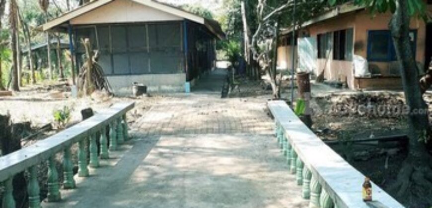 รหัสC7185 ให้เช่าและขายที่ดิน 8ไร่ครึ่ง พร้อมบ้านเดี่ยวอีก 1หลัง คลอง8 หนองเสือ ปทุมธานี