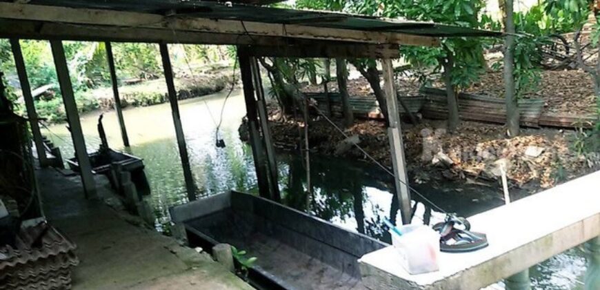 รหัสC7185 ให้เช่าและขายที่ดิน 8ไร่ครึ่ง พร้อมบ้านเดี่ยวอีก 1หลัง คลอง8 หนองเสือ ปทุมธานี