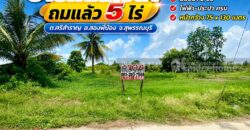 ขายที่ดินเปล่า ต.ศรีสำราญ อ.สองพี่น้อง จ.สุพรรณบุรี พื้นที่ 5 ไร่ ถมแล้ว ห่างจากถนนใหญ่เพียง 200 เมตร ใกล้อบต.ศรีสำราญ