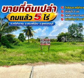 ขายที่ดินเปล่า ต.ศรีสำราญ อ.สองพี่น้อง จ.สุพรรณบุรี พื้นที่ 5 ไร่ ถมแล้ว ห่างจากถนนใหญ่เพียง 200 เมตร ใกล้อบต.ศรีสำราญ