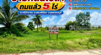 ขายที่ดินเปล่า ต.ศรีสำราญ อ.สองพี่น้อง จ.สุพรรณบุรี พื้นที่ 5 ไร่ ถมแล้ว ห่างจากถนนใหญ่เพียง 200 เมตร ใกล้อบต.ศรีสำราญ