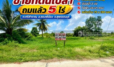 ขายที่ดินเปล่า ต.ศรีสำราญ อ.สองพี่น้อง จ.สุพรรณบุรี พื้นที่ 5 ไร่ ถมแล้ว ห่างจากถนนใหญ่เพียง 200 เมตร ใกล้อบต.ศรีสำราญ