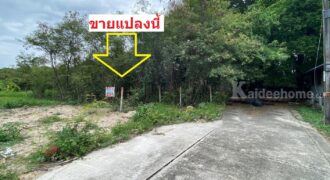 ขายที่ดิน ชัยพฤกษ์ บางนา-ตราด กม.18 สมุทรปราการ ประเมินวาละ22,000 ขายเพียงวาละ13,000