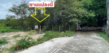 ขายที่ดิน ชัยพฤกษ์ บางนา-ตราด กม.18 สมุทรปราการ ประเมินวาละ22,000 ขายเพียงวาละ13,000