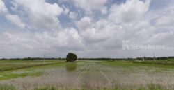 ขายที่ดิน ที่นา พิษณุโลก อำเภอวังทอง 19 ไร่ สวยมาก วิวนาสวย อากาศดี เงียบสงบ โทร 063-2825635
