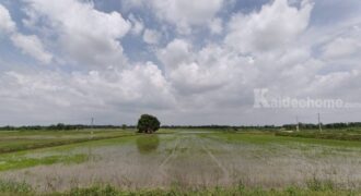 ขายที่ดิน ที่นา พิษณุโลก อำเภอวังทอง 19 ไร่ สวยมาก วิวนาสวย อากาศดี เงียบสงบ โทร 063-2825635