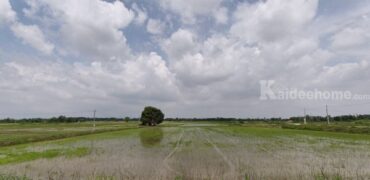 ขายที่ดิน ที่นา พิษณุโลก อำเภอวังทอง 19 ไร่ สวยมาก วิวนาสวย อากาศดี เงียบสงบ โทร 063-2825635