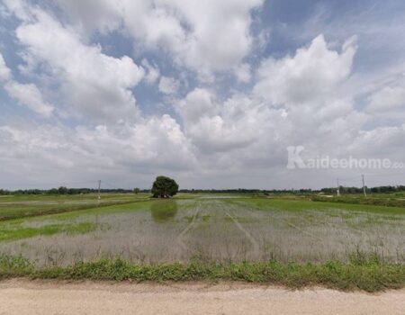 ขายที่ดิน ที่นา พิษณุโลก อำเภอวังทอง 19 ไร่ สวยมาก วิวนาสวย อากาศดี เงียบสงบ โทร 063-2825635