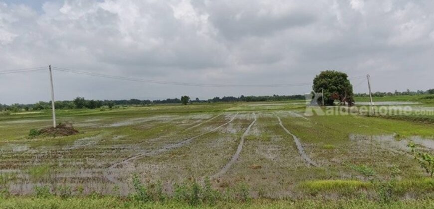 ขายที่ดิน ที่นา พิษณุโลก อำเภอวังทอง 19 ไร่ สวยมาก วิวนาสวย อากาศดี เงียบสงบ โทร 063-2825635