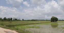 ขายที่ดิน ที่นา พิษณุโลก อำเภอวังทอง 19 ไร่ สวยมาก วิวนาสวย อากาศดี เงียบสงบ โทร 063-2825635