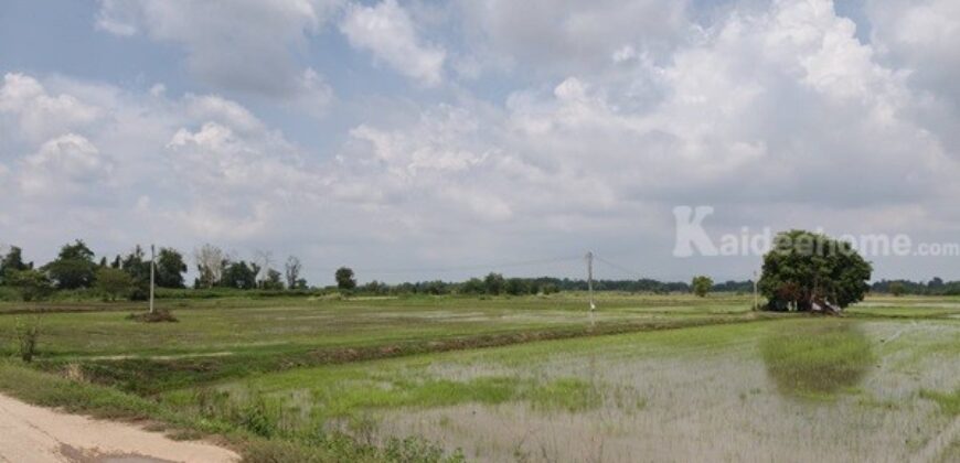 ขายที่ดิน ที่นา พิษณุโลก อำเภอวังทอง 19 ไร่ สวยมาก วิวนาสวย อากาศดี เงียบสงบ โทร 063-2825635
