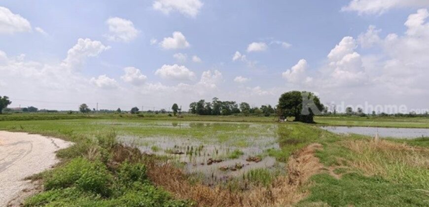ขายที่ดิน ที่นา พิษณุโลก อำเภอวังทอง 19 ไร่ สวยมาก วิวนาสวย อากาศดี เงียบสงบ โทร 063-2825635