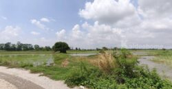 ขายที่ดิน ที่นา พิษณุโลก อำเภอวังทอง 19 ไร่ สวยมาก วิวนาสวย อากาศดี เงียบสงบ โทร 063-2825635