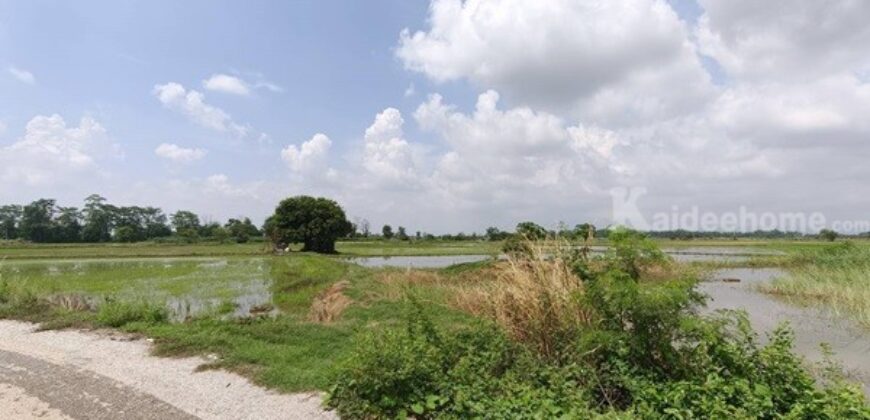 ขายที่ดิน ที่นา พิษณุโลก อำเภอวังทอง 19 ไร่ สวยมาก วิวนาสวย อากาศดี เงียบสงบ โทร 063-2825635