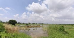 ขายที่ดิน ที่นา พิษณุโลก อำเภอวังทอง 19 ไร่ สวยมาก วิวนาสวย อากาศดี เงียบสงบ โทร 063-2825635