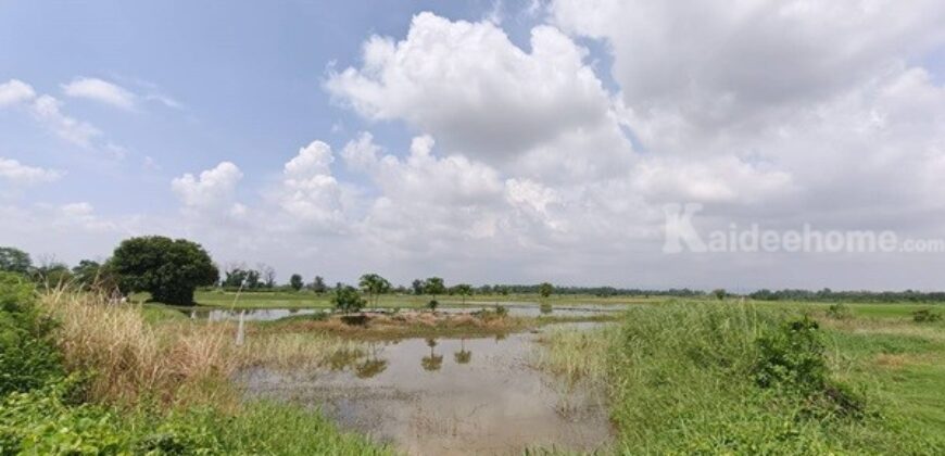 ขายที่ดิน ที่นา พิษณุโลก อำเภอวังทอง 19 ไร่ สวยมาก วิวนาสวย อากาศดี เงียบสงบ โทร 063-2825635