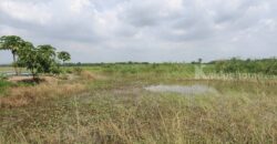 ขายที่ดิน ที่นา พิษณุโลก อำเภอวังทอง 19 ไร่ สวยมาก วิวนาสวย อากาศดี เงียบสงบ โทร 063-2825635