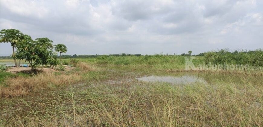 ขายที่ดิน ที่นา พิษณุโลก อำเภอวังทอง 19 ไร่ สวยมาก วิวนาสวย อากาศดี เงียบสงบ โทร 063-2825635