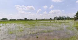 ขายที่ดิน ที่นา พิษณุโลก อำเภอวังทอง 19 ไร่ สวยมาก วิวนาสวย อากาศดี เงียบสงบ โทร 063-2825635