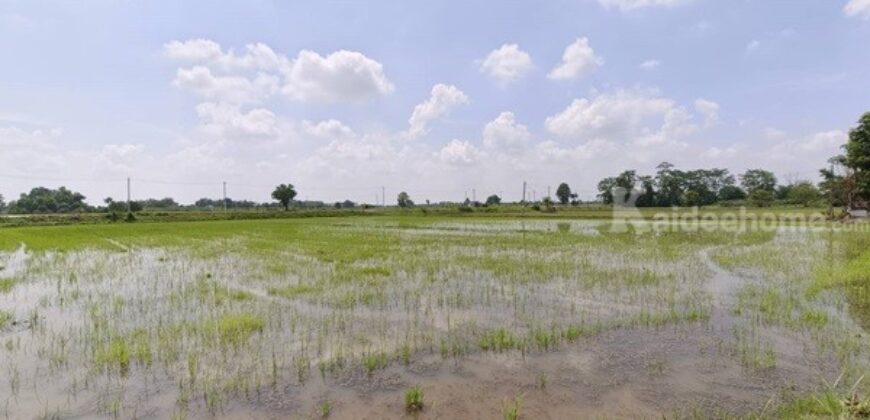 ขายที่ดิน ที่นา พิษณุโลก อำเภอวังทอง 19 ไร่ สวยมาก วิวนาสวย อากาศดี เงียบสงบ โทร 063-2825635