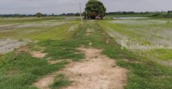 ขายที่ดิน ที่นา พิษณุโลก อำเภอวังทอง 19 ไร่ สวยมาก วิวนาสวย อากาศดี เงียบสงบ โทร 063-2825635