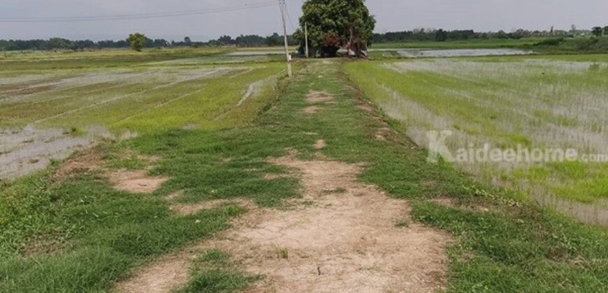 ขายที่ดิน ที่นา พิษณุโลก อำเภอวังทอง 19 ไร่ สวยมาก วิวนาสวย อากาศดี เงียบสงบ โทร 063-2825635